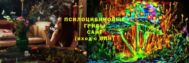 Псилоцибиновые грибы Magic Shrooms  мориарти формула  Кирсанов 